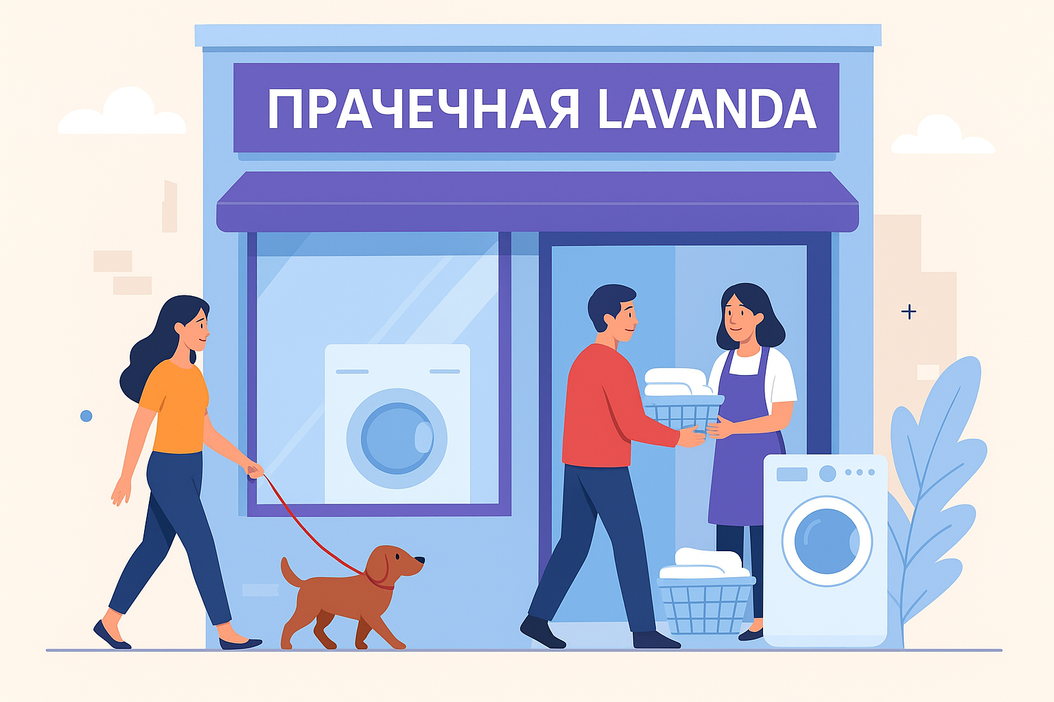 Прачечная Lavanda